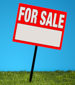 Red for sale sign in green grass against a blue sky